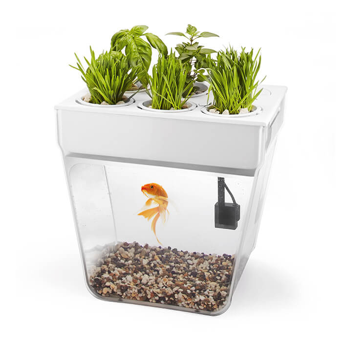 Акваферма AquaFarm 2 в 1: аквариум с платформой для выращивания растений